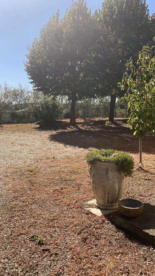 Bilocale Immerso Nel Verde Oviglio Exterior foto
